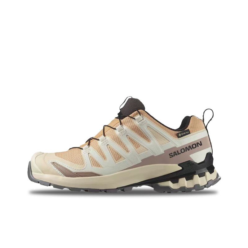 Кроссовки Salomon XA Pro 3D V9 – обзор и цена Salomon Shoes Xa Pro 3D